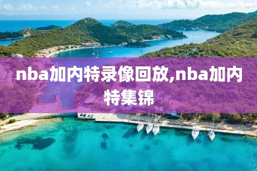 nba加内特录像回放,nba加内特集锦