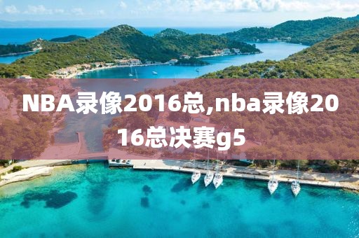 NBA录像2016总,nba录像2016总决赛g5