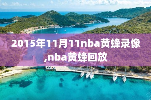 2015年11月11nba黄蜂录像,nba黄蜂回放