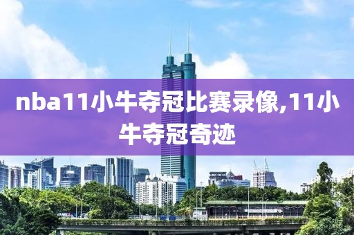 nba11小牛夺冠比赛录像,11小牛夺冠奇迹