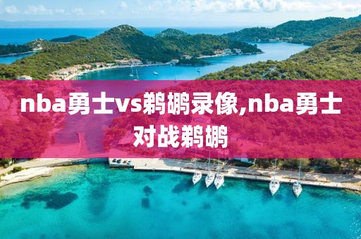 nba勇士vs鹈鹕录像,nba勇士对战鹈鹕