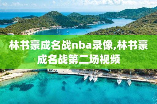 林书豪成名战nba录像,林书豪成名战第二场视频
