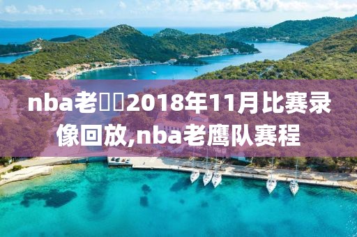 nba老鷹隊2018年11月比赛录像回放,nba老鹰队赛程