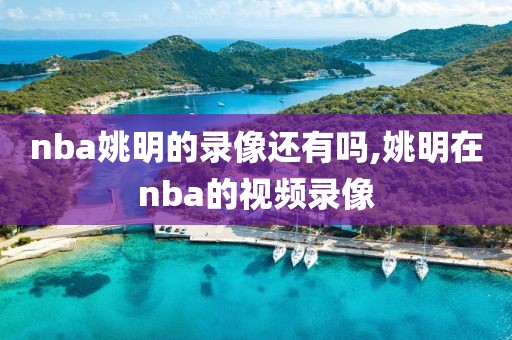 nba姚明的录像还有吗,姚明在nba的视频录像