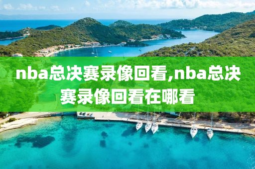 nba总决赛录像回看,nba总决赛录像回看在哪看