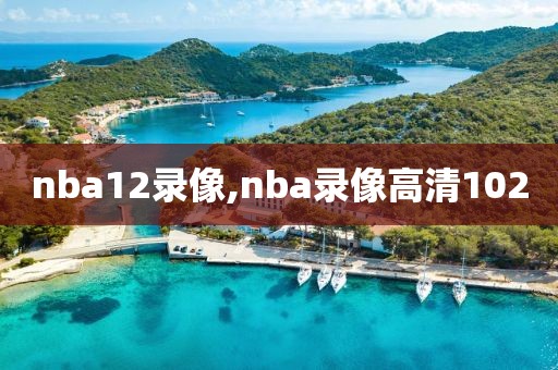 nba12录像,nba录像高清102