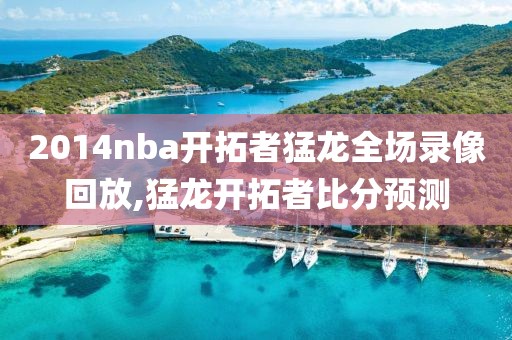 2014nba开拓者猛龙全场录像回放,猛龙开拓者比分预测