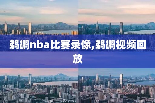 鹈鹕nba比赛录像,鹈鹕视频回放