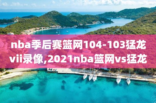 nba季后赛篮网104-103猛龙vii录像,2021nba篮网vs猛龙