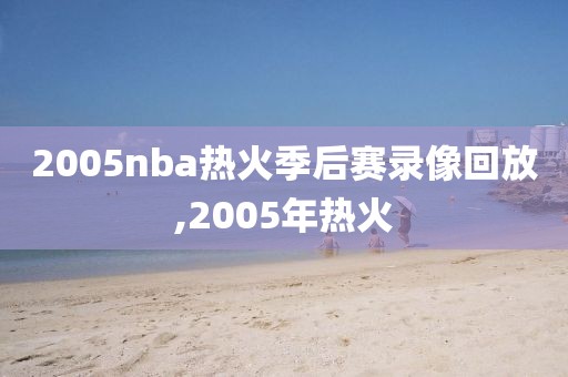 2005nba热火季后赛录像回放,2005年热火