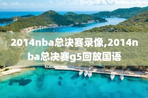 2014nba总决赛录像,2014nba总决赛g5回放国语