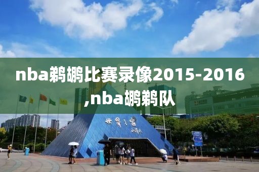 nba鹈鹕比赛录像2015-2016,nba鹕鹈队