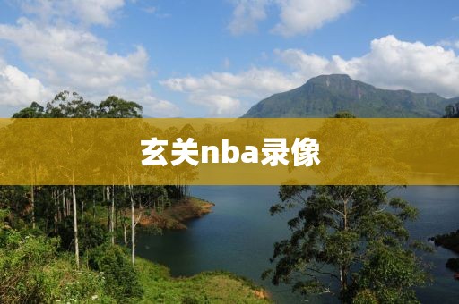 玄关nba录像