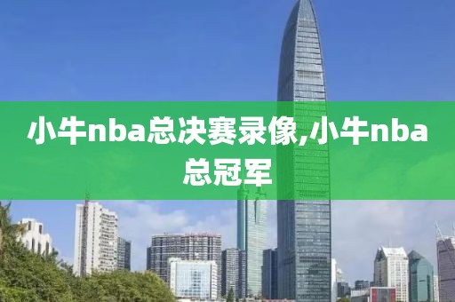 小牛nba总决赛录像,小牛nba总冠军
