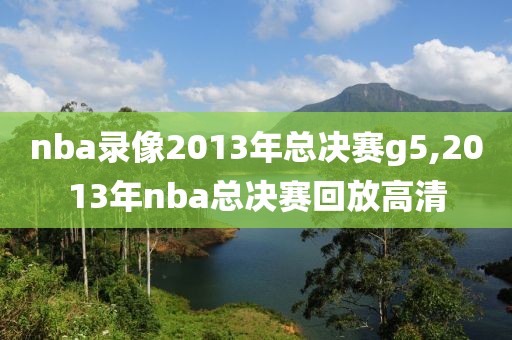 nba录像2013年总决赛g5,2013年nba总决赛回放高清
