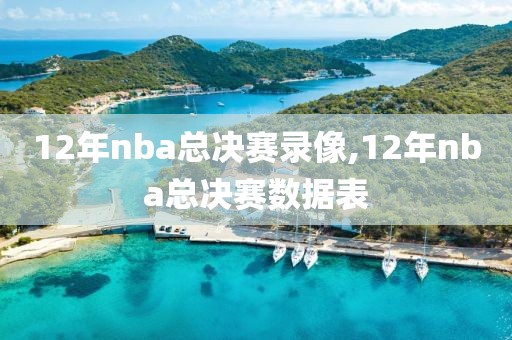 12年nba总决赛录像,12年nba总决赛数据表