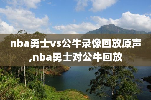 nba勇士vs公牛录像回放原声,nba勇士对公牛回放