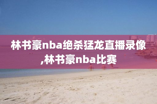 林书豪nba绝杀猛龙直播录像,林书豪nba比赛