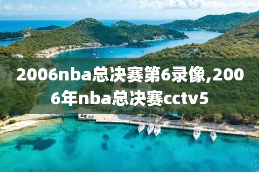 2006nba总决赛第6录像,2006年nba总决赛cctv5