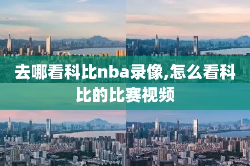 去哪看科比nba录像,怎么看科比的比赛视频